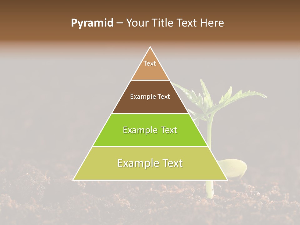 Growing Seeds PowerPoint Template