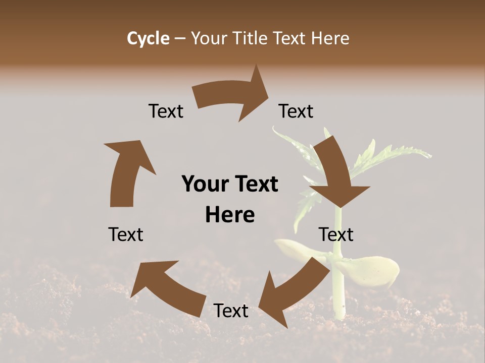 Growing Seeds PowerPoint Template