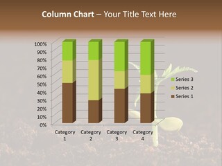 Growing Seeds PowerPoint Template