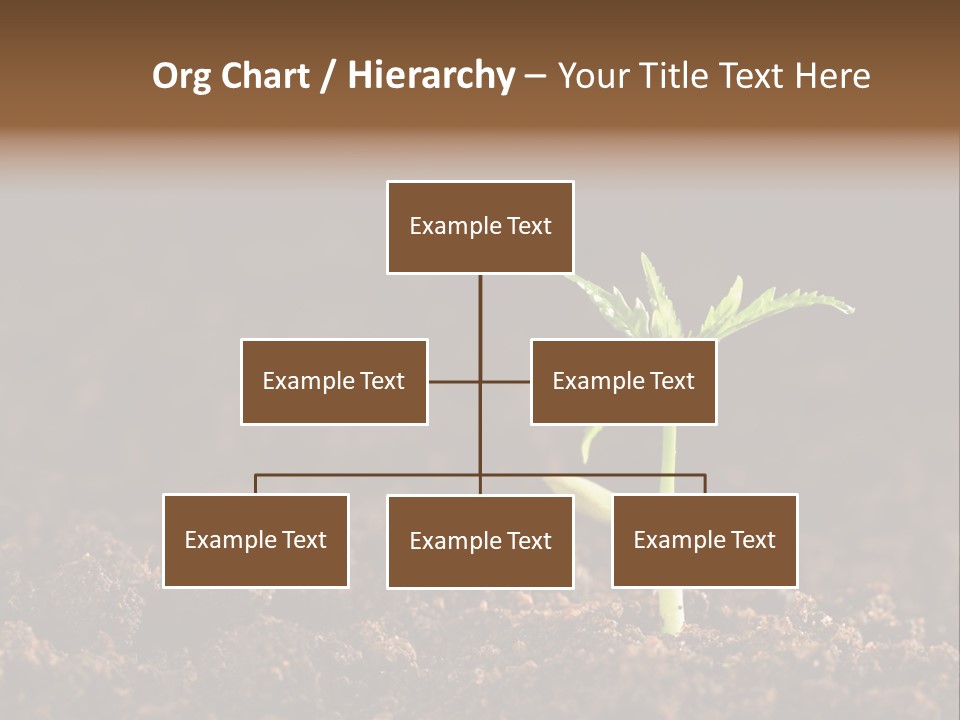 Growing Seeds PowerPoint Template