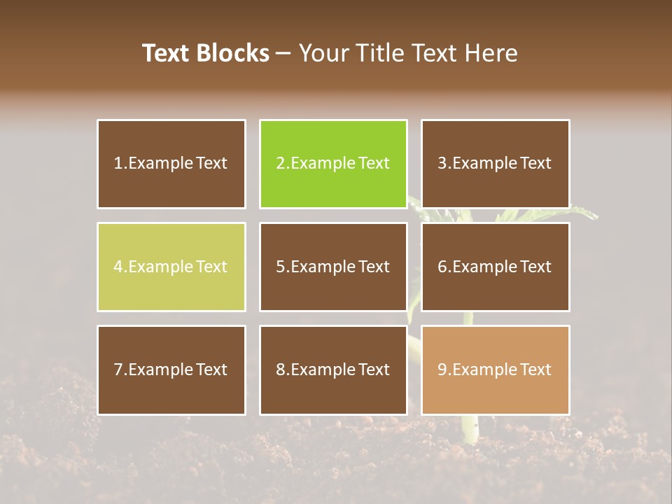 Growing Seeds PowerPoint Template
