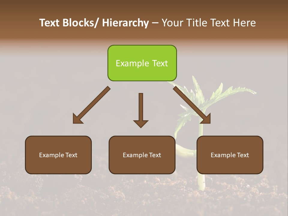 Growing Seeds PowerPoint Template