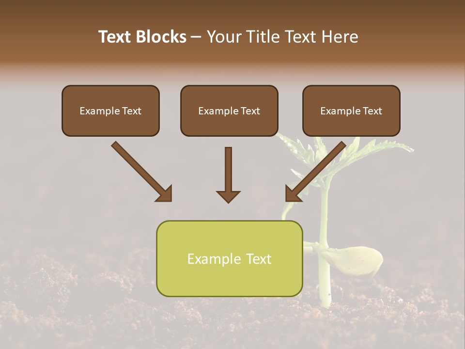 Growing Seeds PowerPoint Template