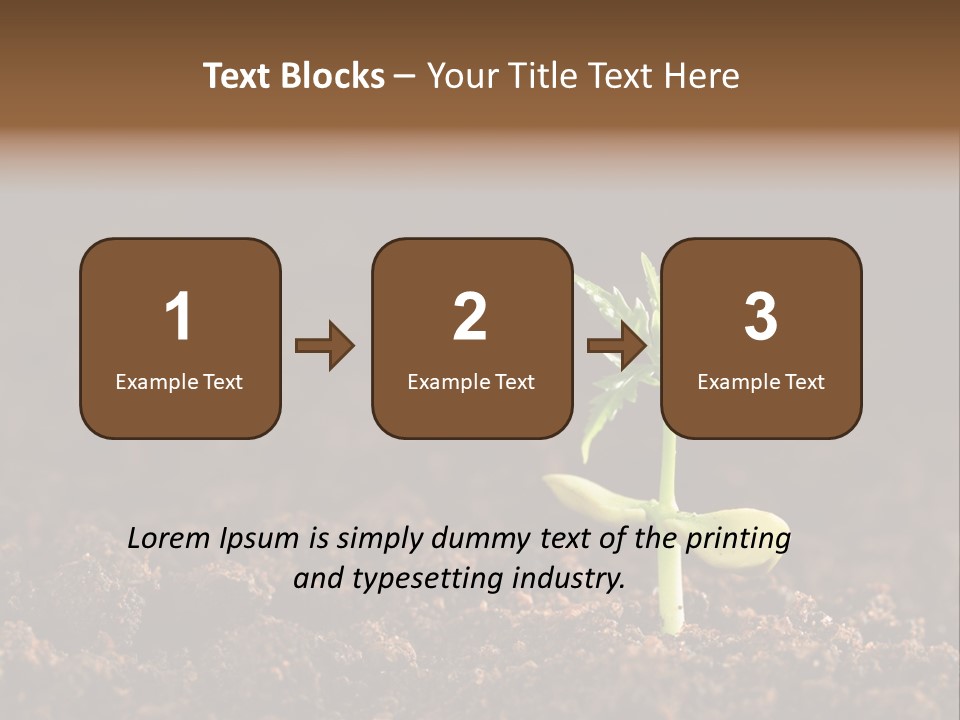 Growing Seeds PowerPoint Template