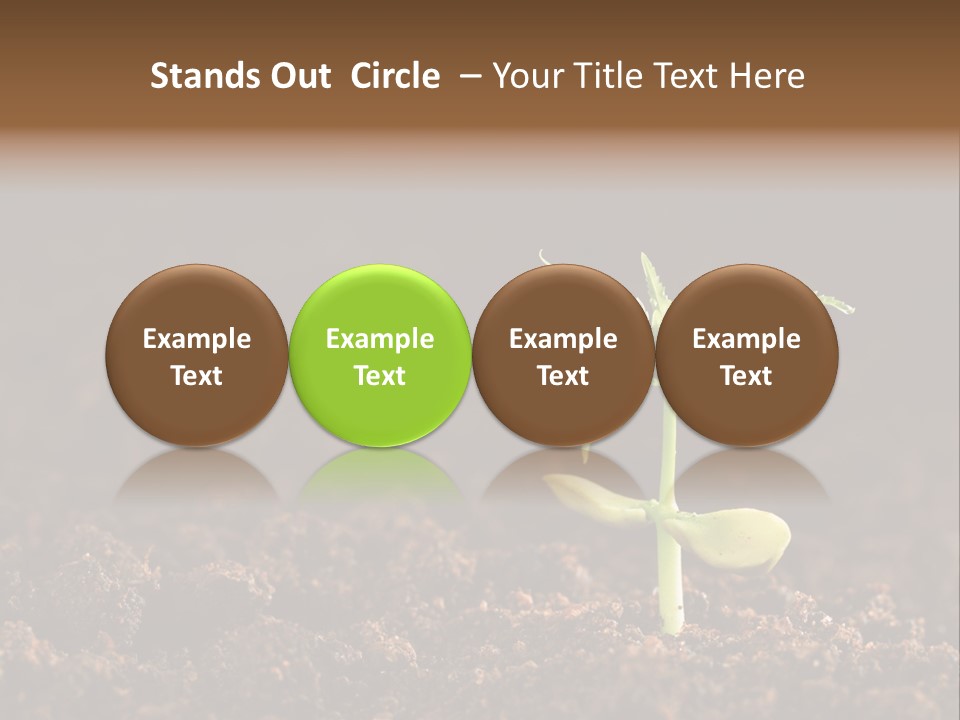 Growing Seeds PowerPoint Template