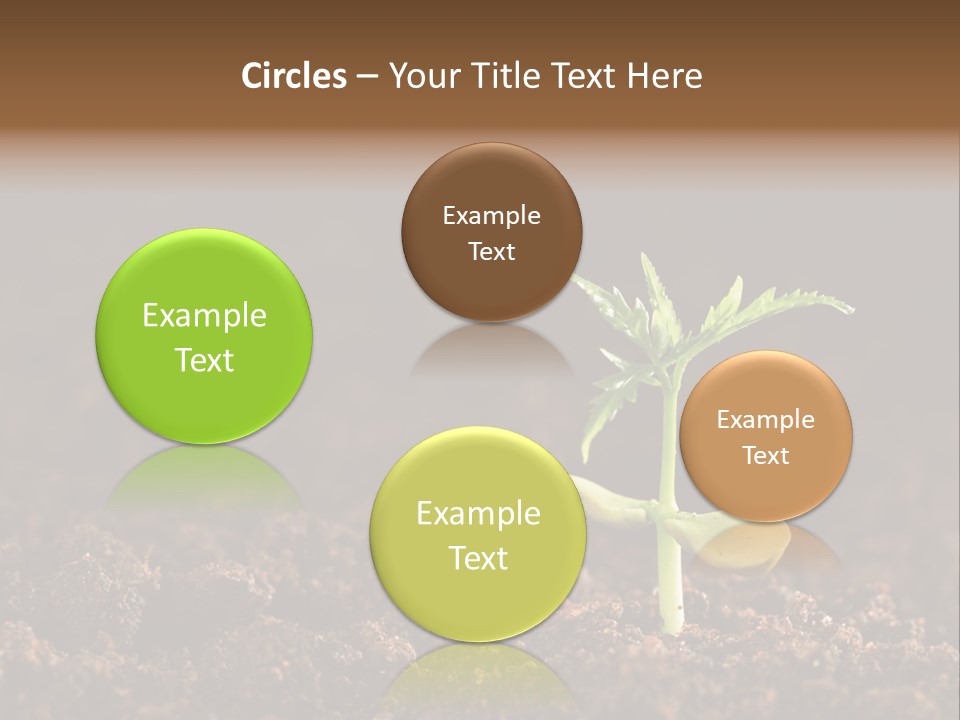 Growing Seeds PowerPoint Template