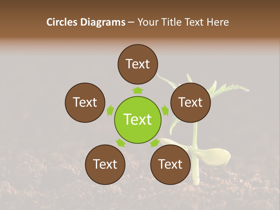 Growing Seeds PowerPoint Template