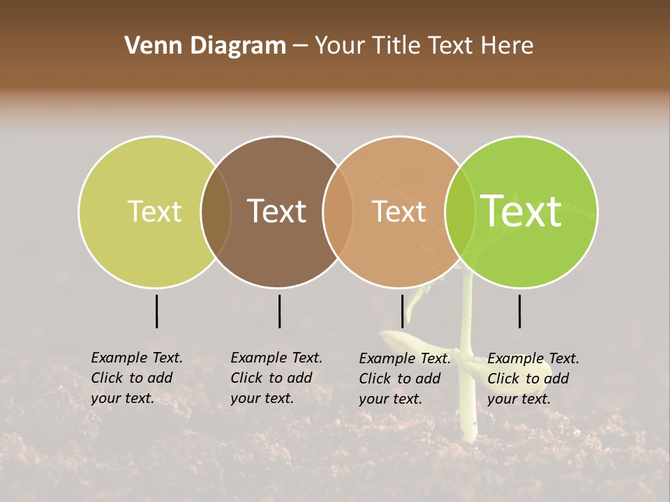 Growing Seeds PowerPoint Template