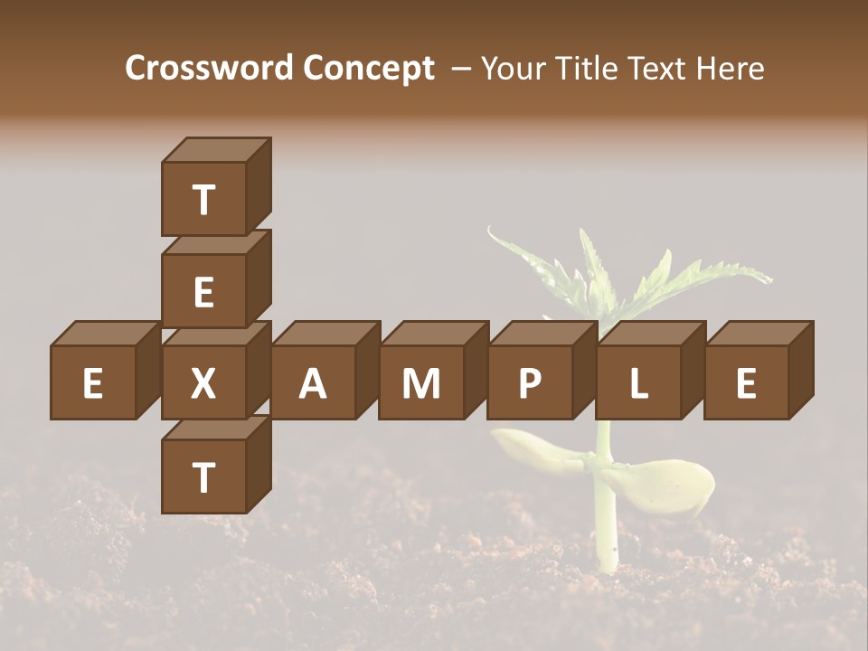 Growing Seeds PowerPoint Template