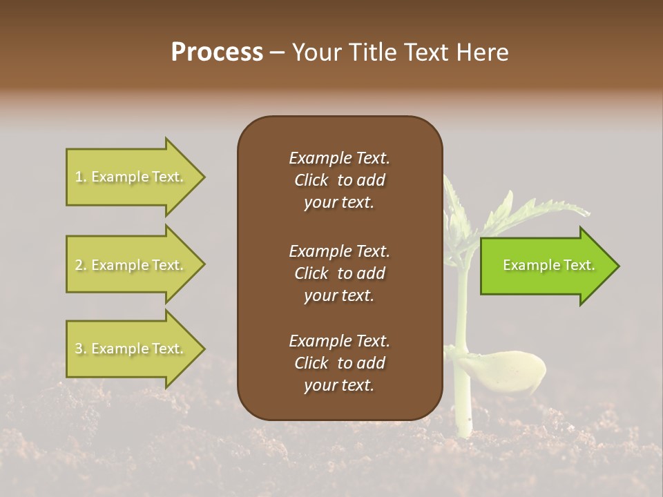 Growing Seeds PowerPoint Template