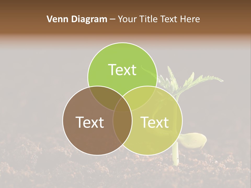Growing Seeds PowerPoint Template