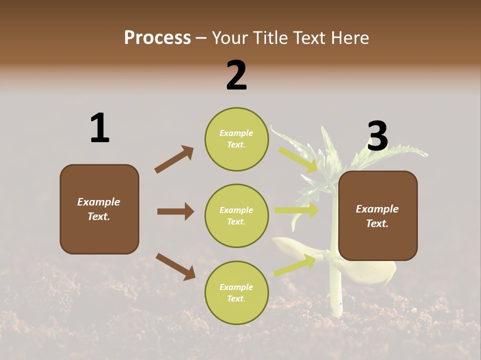 Growing Seeds PowerPoint Template