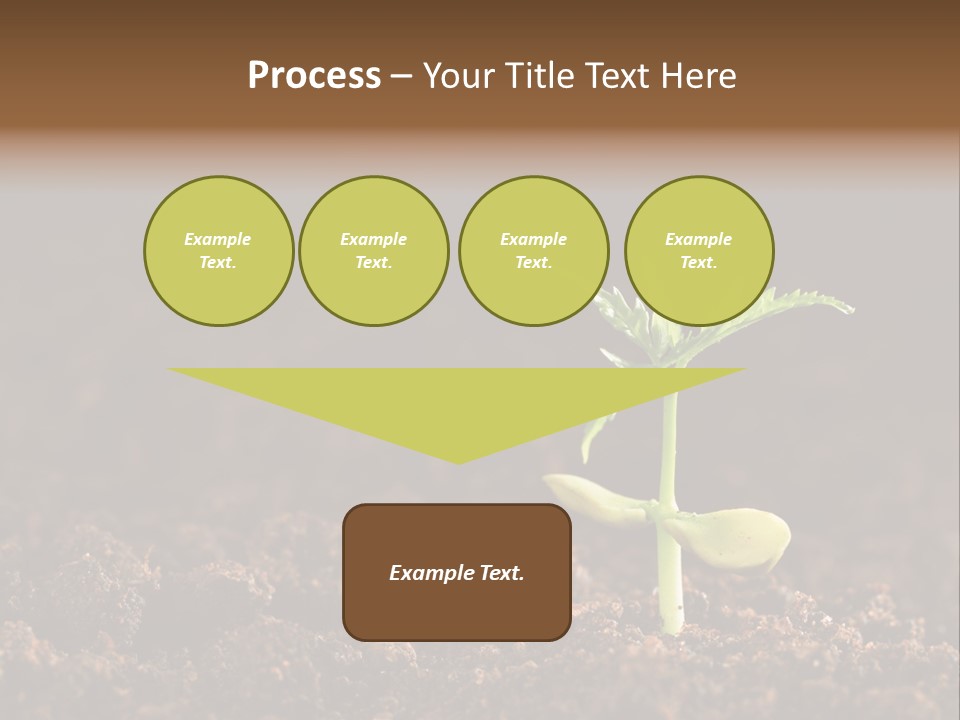 Growing Seeds PowerPoint Template