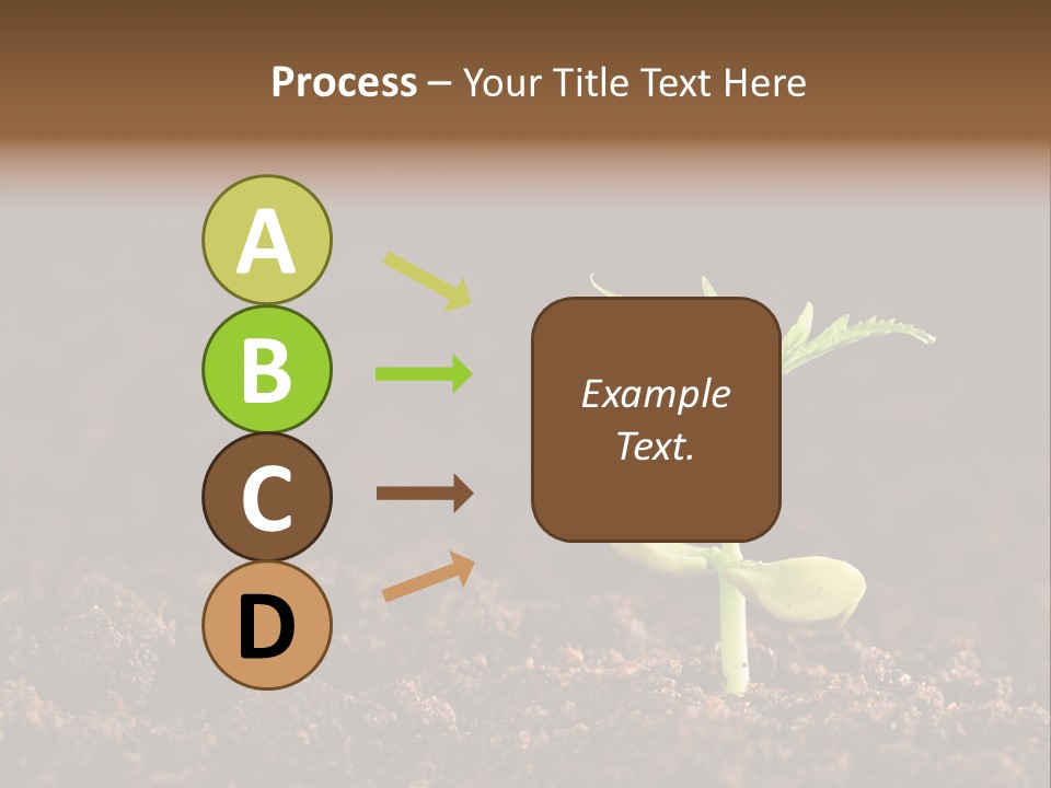 Growing Seeds PowerPoint Template