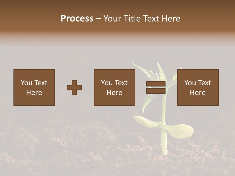 Growing Seeds PowerPoint Template