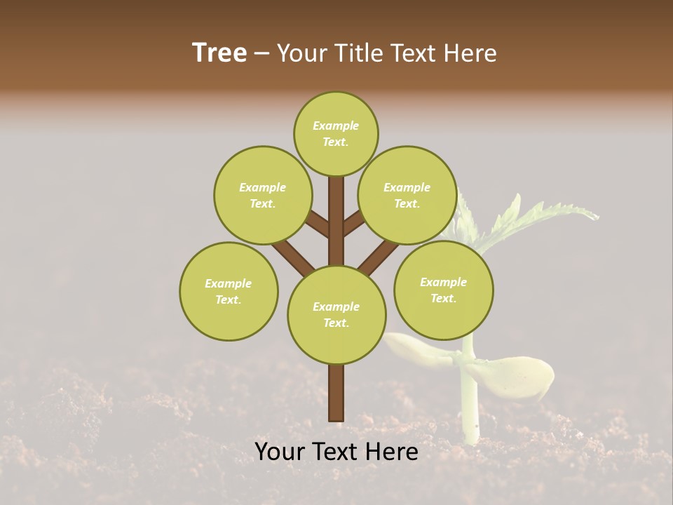 Growing Seeds PowerPoint Template