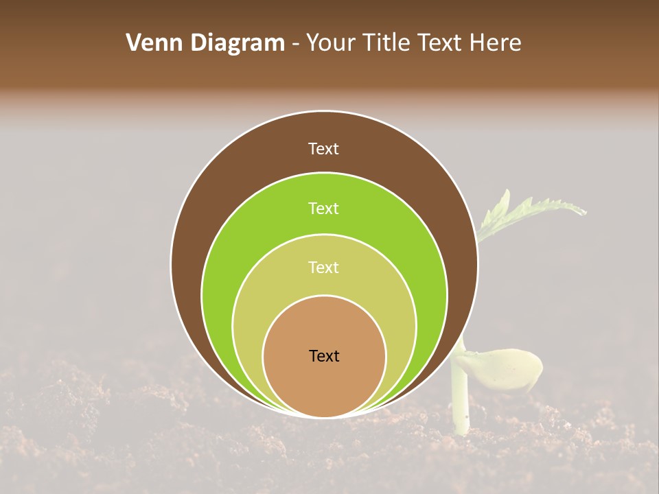 Growing Seeds PowerPoint Template