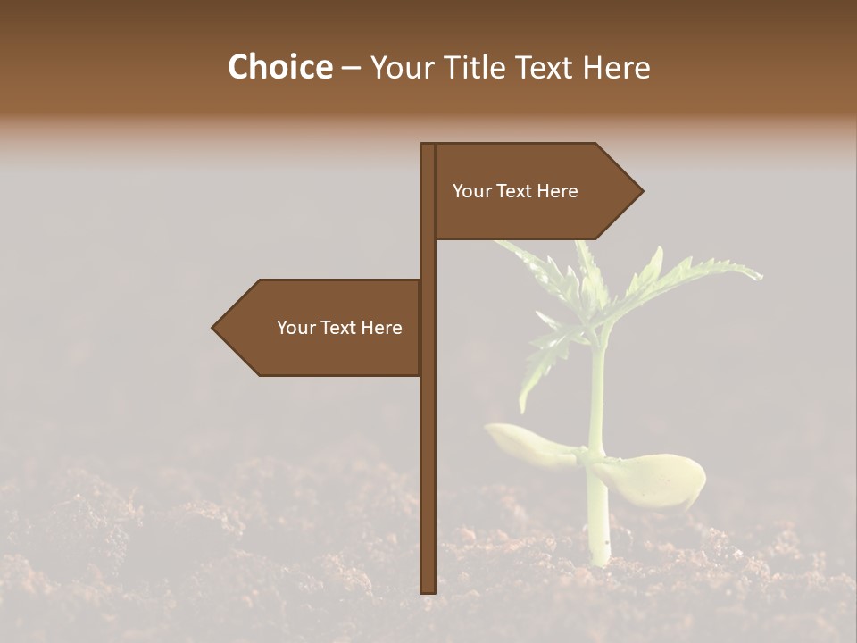Growing Seeds PowerPoint Template