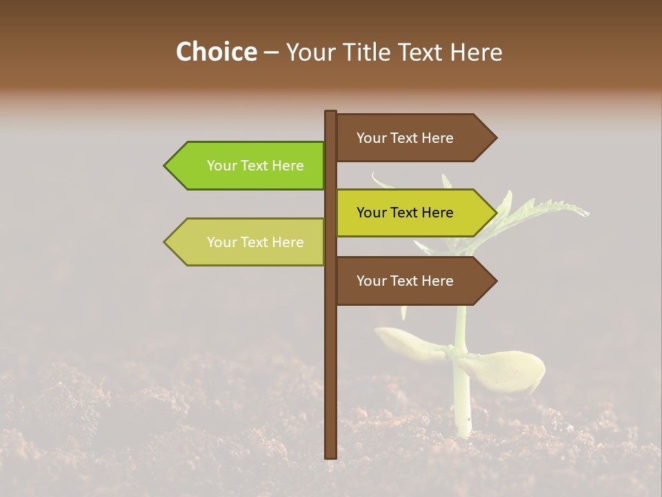 Growing Seeds PowerPoint Template