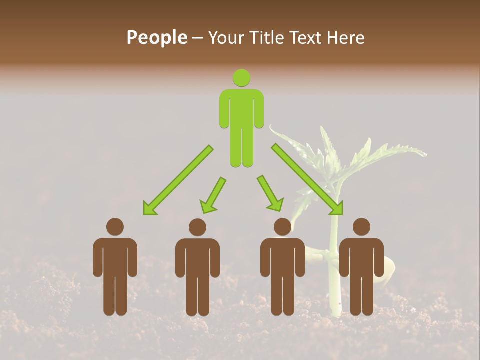 Growing Seeds PowerPoint Template