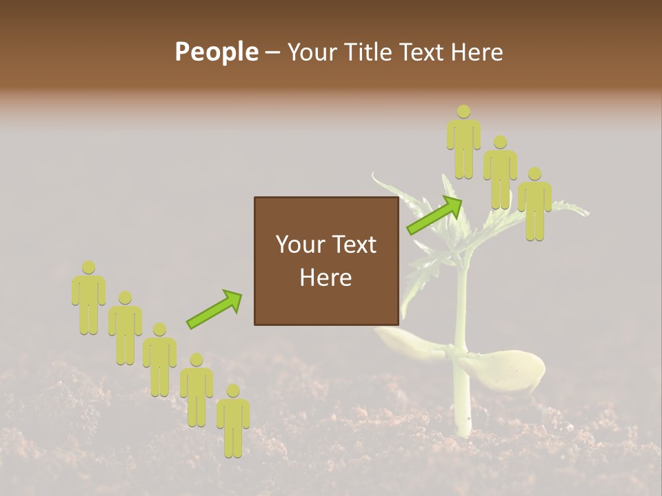 Growing Seeds PowerPoint Template