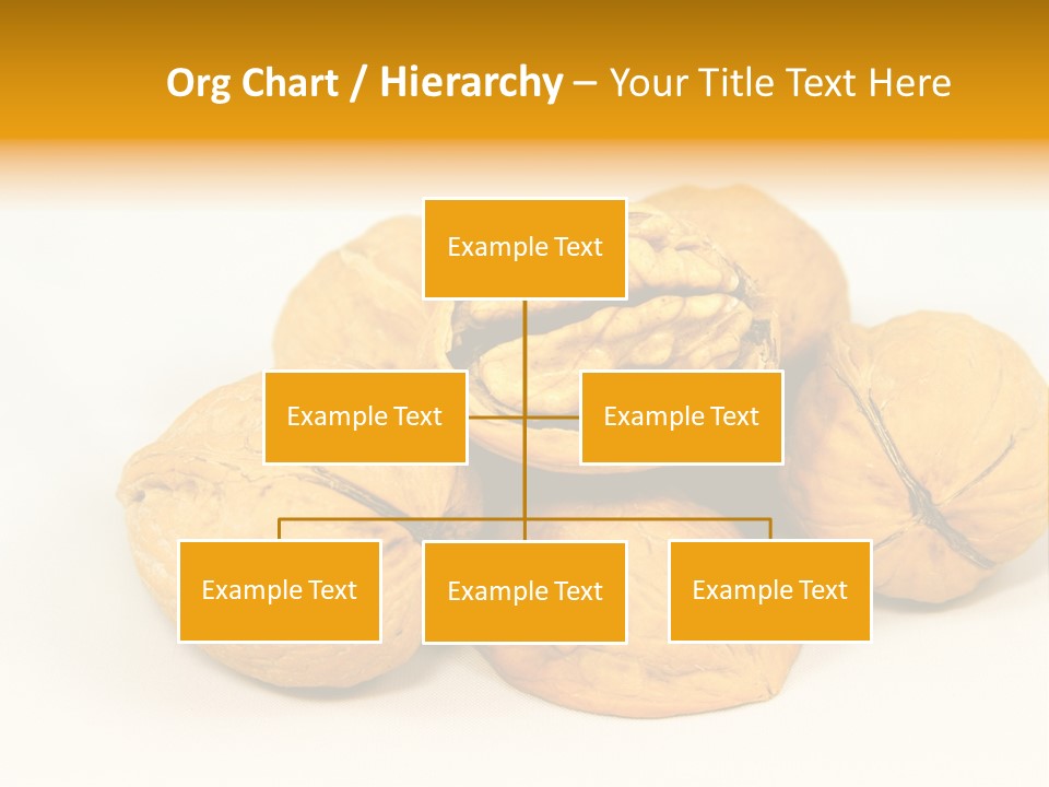 Sharing Life Section PowerPoint Template