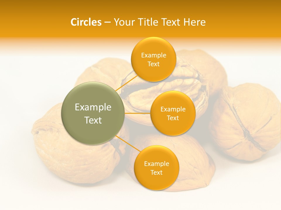 Sharing Life Section PowerPoint Template