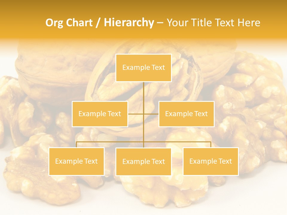 Free Clip Art Walnuts PowerPoint Template