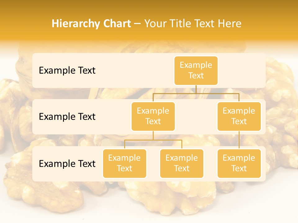 Free Clip Art Walnuts PowerPoint Template