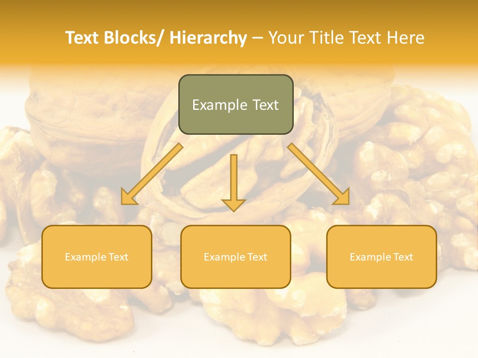 Free Clip Art Walnuts PowerPoint Template