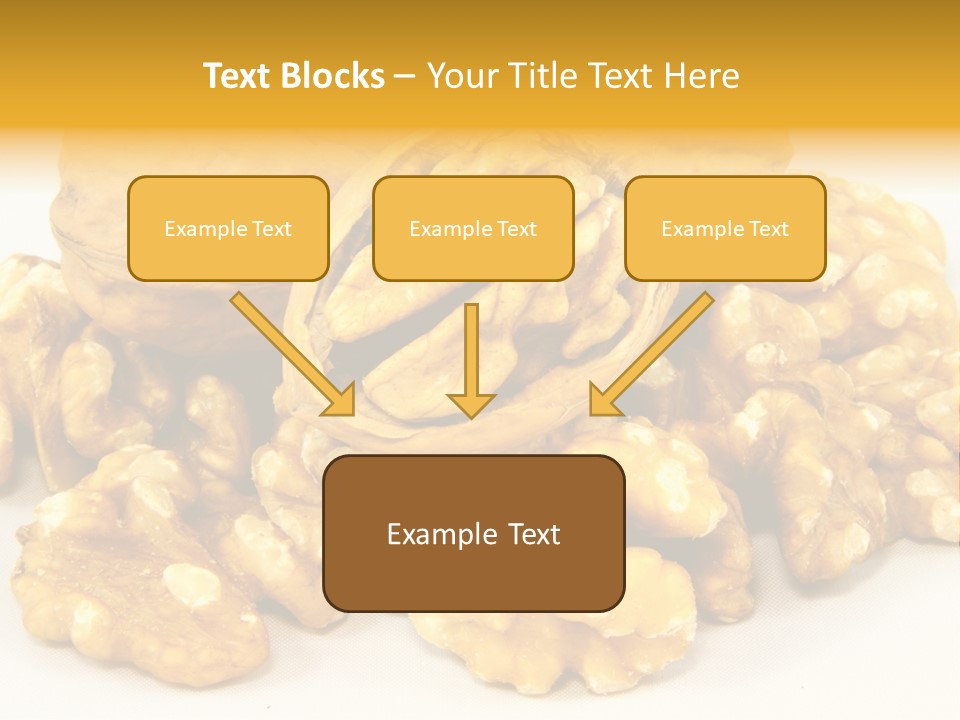 Free Clip Art Walnuts PowerPoint Template