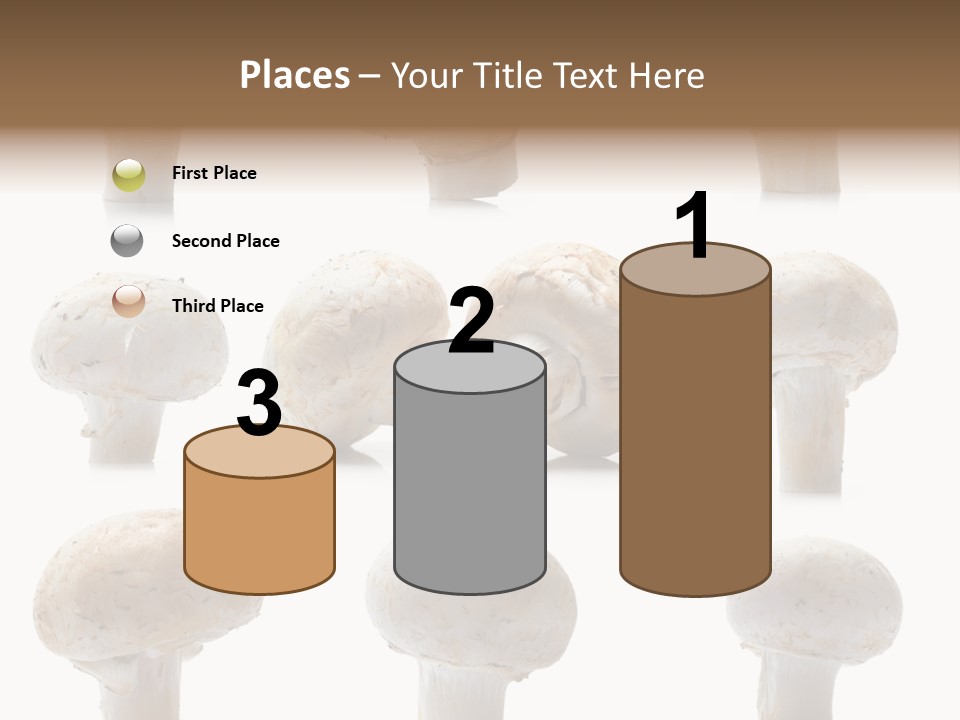 Fungus Nature Studio PowerPoint Template