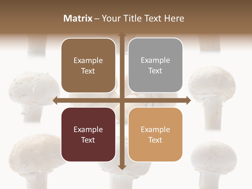 Fungus Nature Studio PowerPoint Template