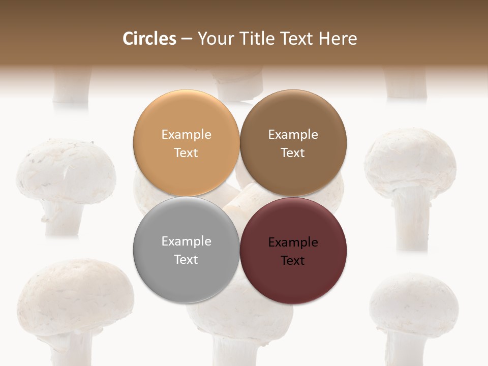 Fungus Nature Studio PowerPoint Template