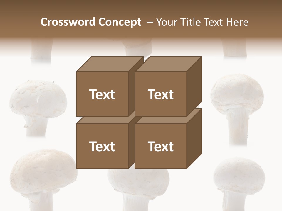 Fungus Nature Studio PowerPoint Template