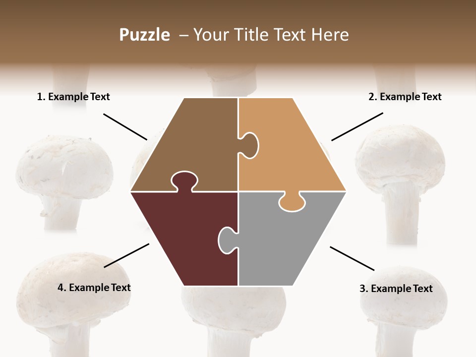 Fungus Nature Studio PowerPoint Template