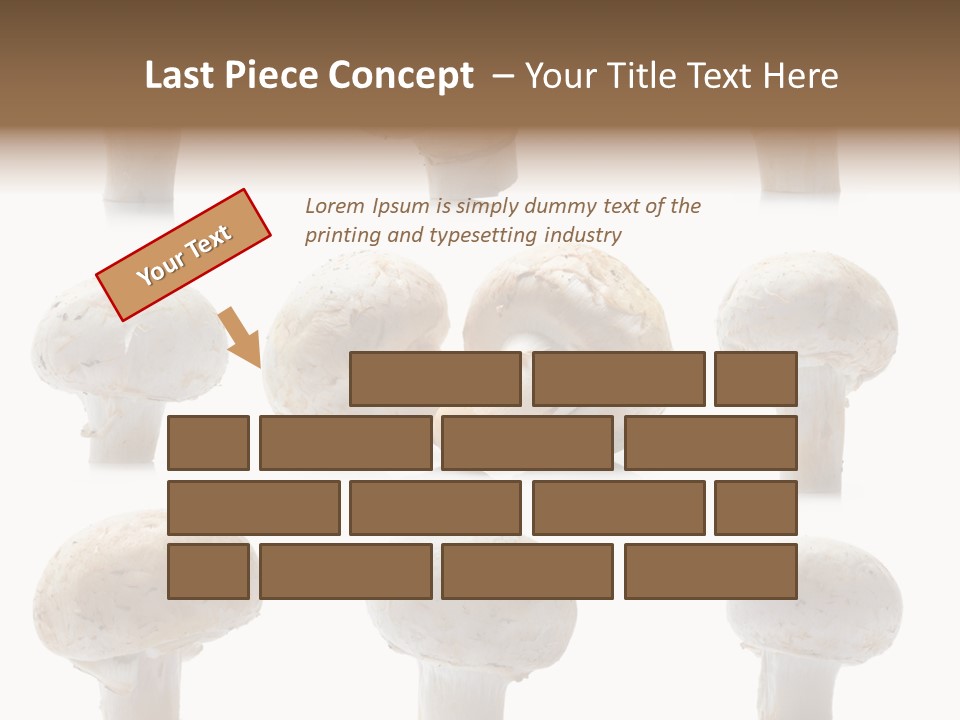 Fungus Nature Studio PowerPoint Template