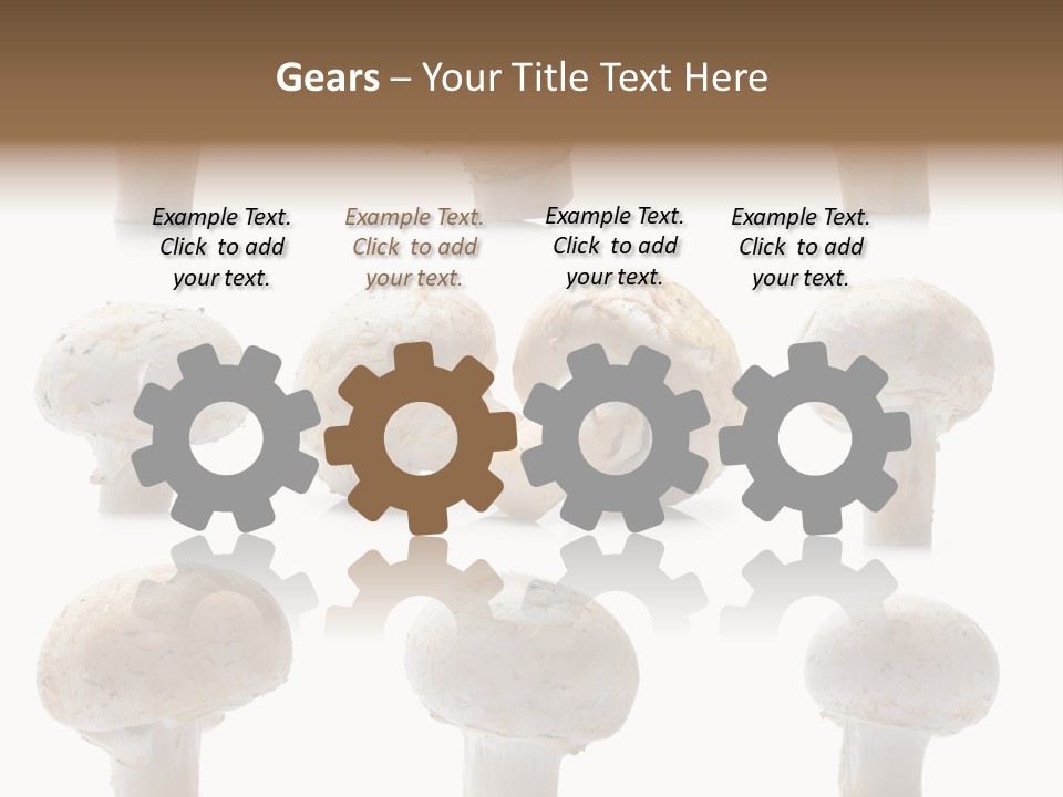 Fungus Nature Studio PowerPoint Template