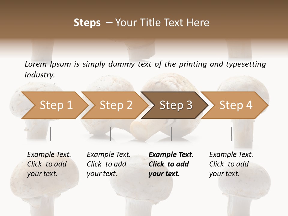 Fungus Nature Studio PowerPoint Template