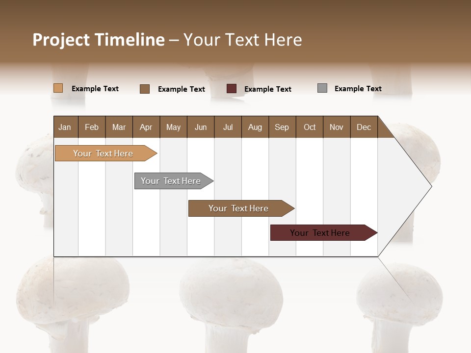 Fungus Nature Studio PowerPoint Template