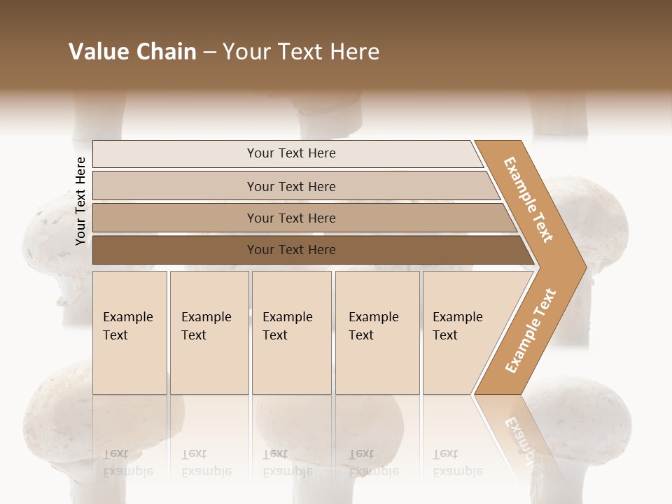 Fungus Nature Studio PowerPoint Template