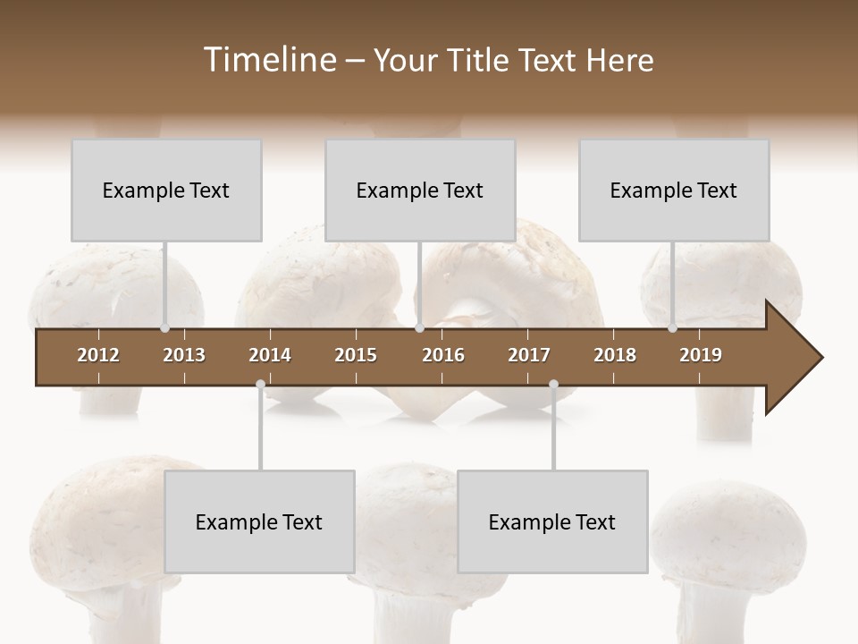Fungus Nature Studio PowerPoint Template