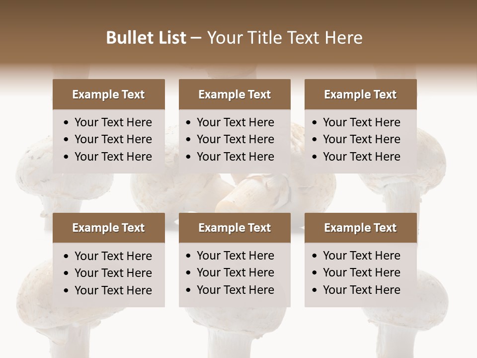 Fungus Nature Studio PowerPoint Template