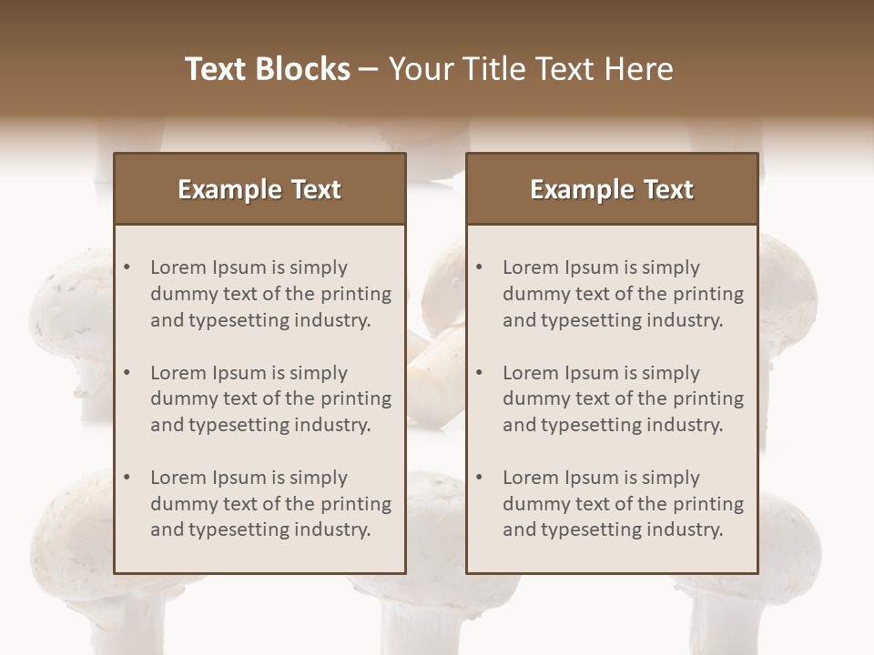 Fungus Nature Studio PowerPoint Template