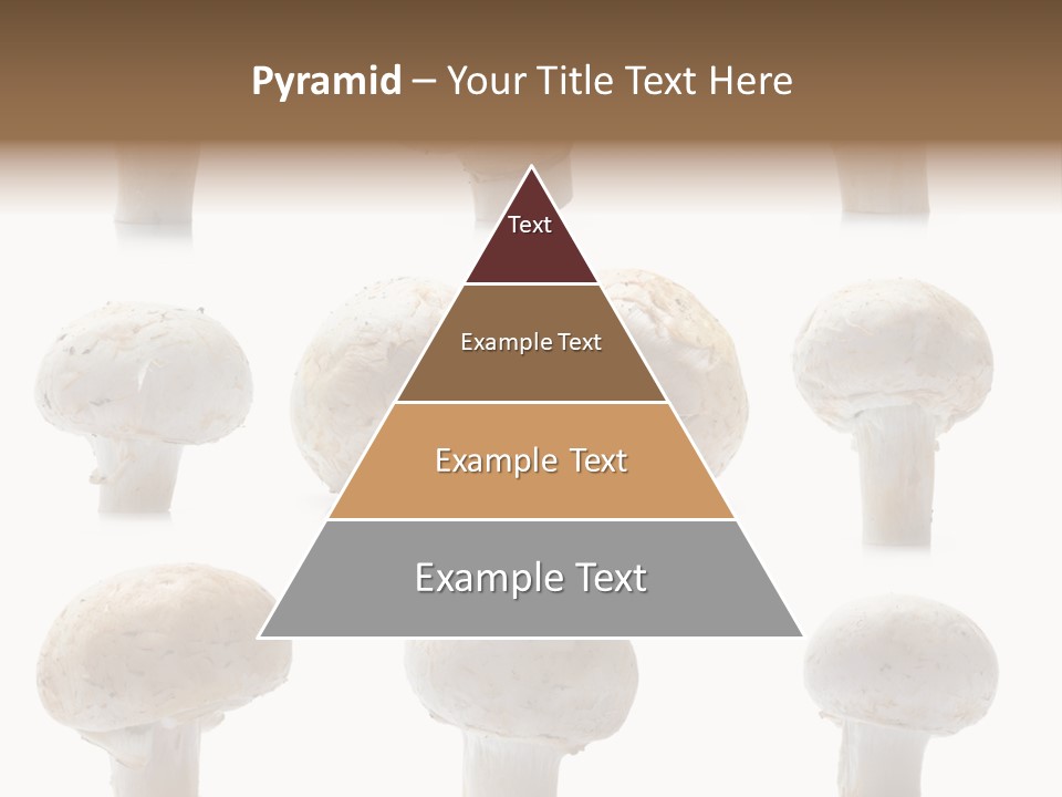 Fungus Nature Studio PowerPoint Template