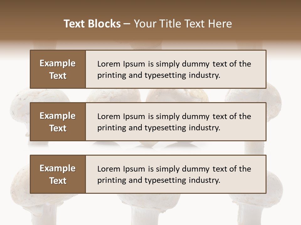 Fungus Nature Studio PowerPoint Template