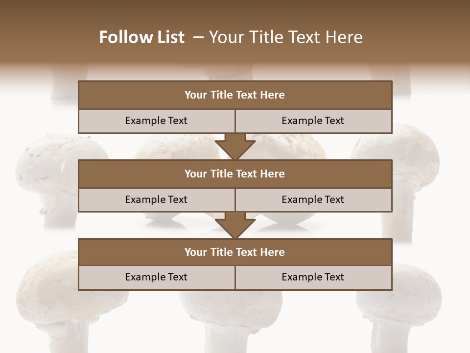 Fungus Nature Studio PowerPoint Template