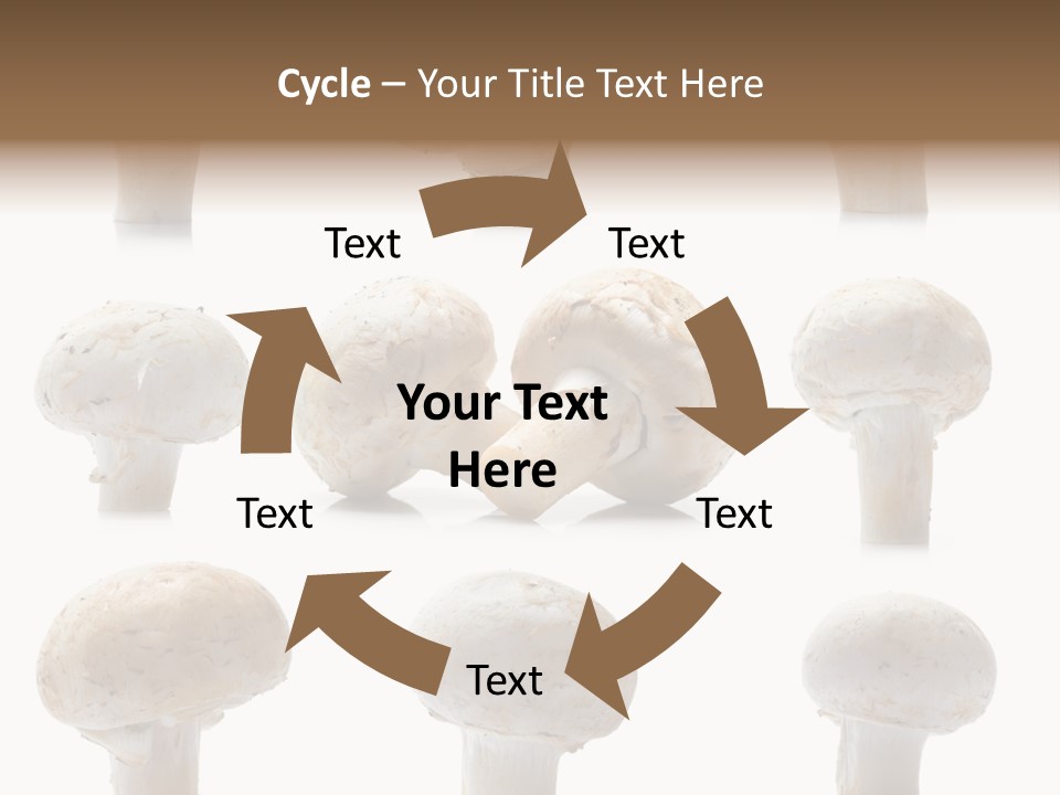Fungus Nature Studio PowerPoint Template