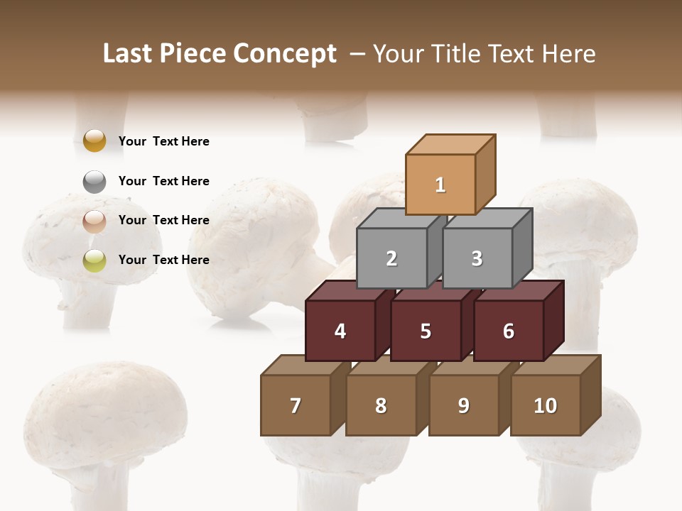 Fungus Nature Studio PowerPoint Template