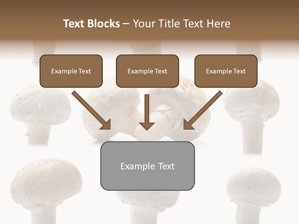 Fungus Nature Studio PowerPoint Template